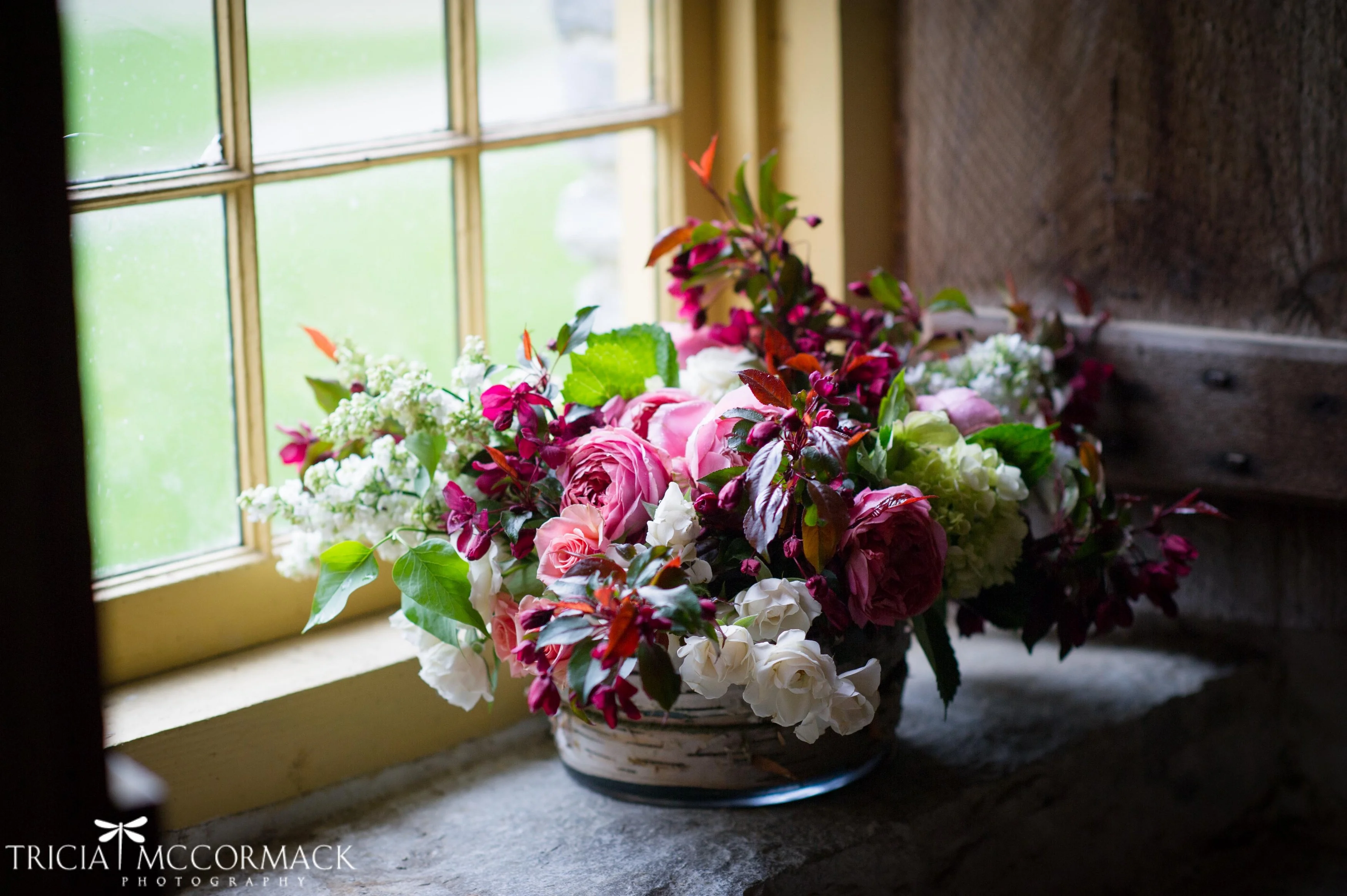 Photo credit: Tricia McCormack Photography