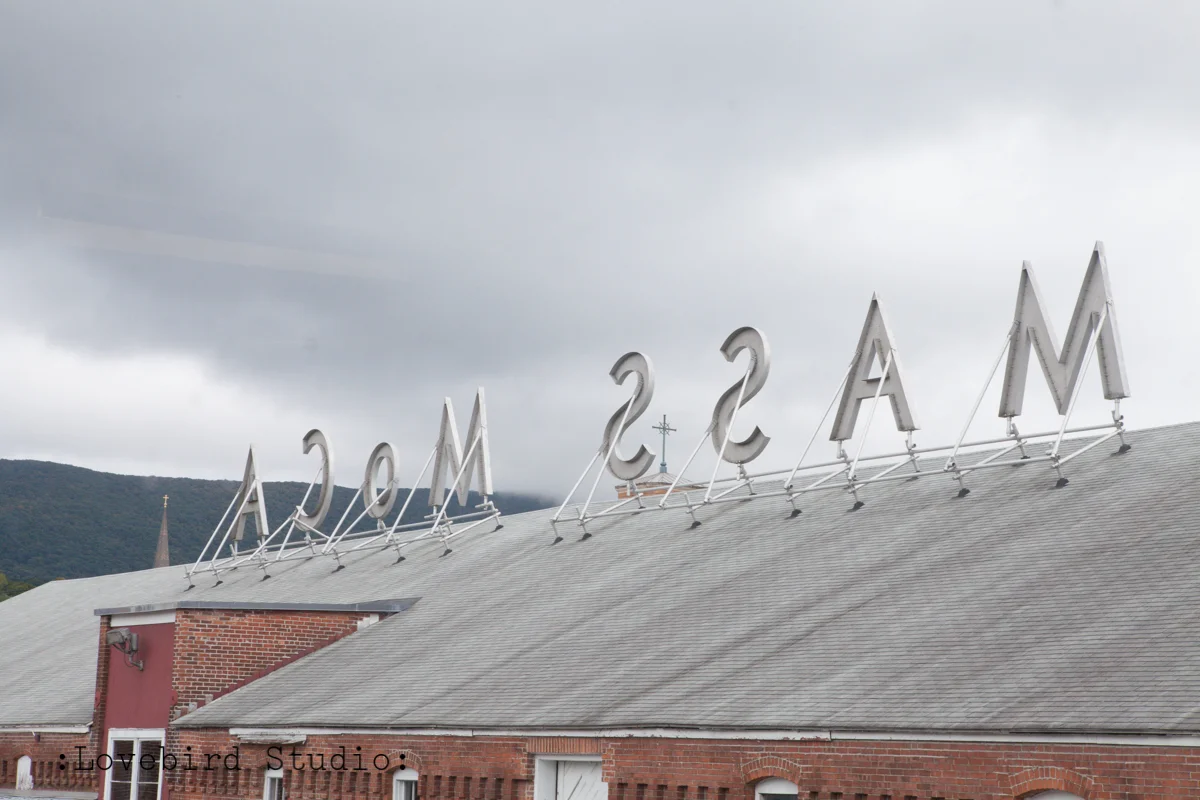 _MG_0005.jpg