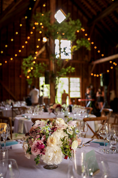 Tara Consolati Events