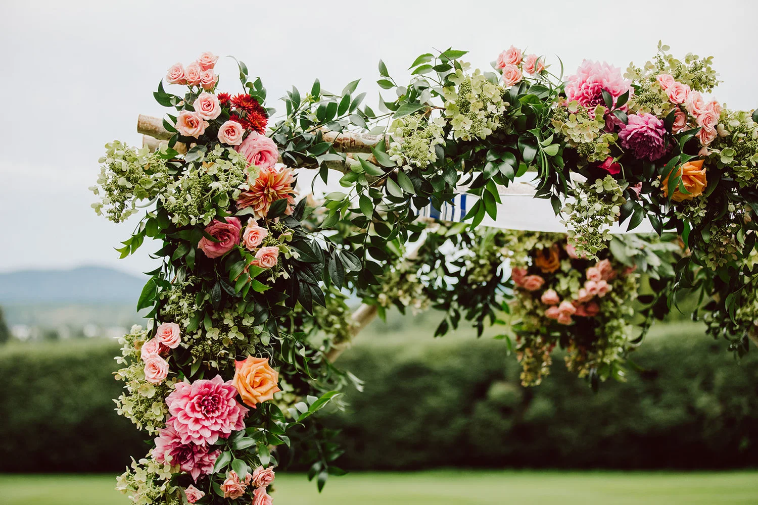 Tara Consolati Events
