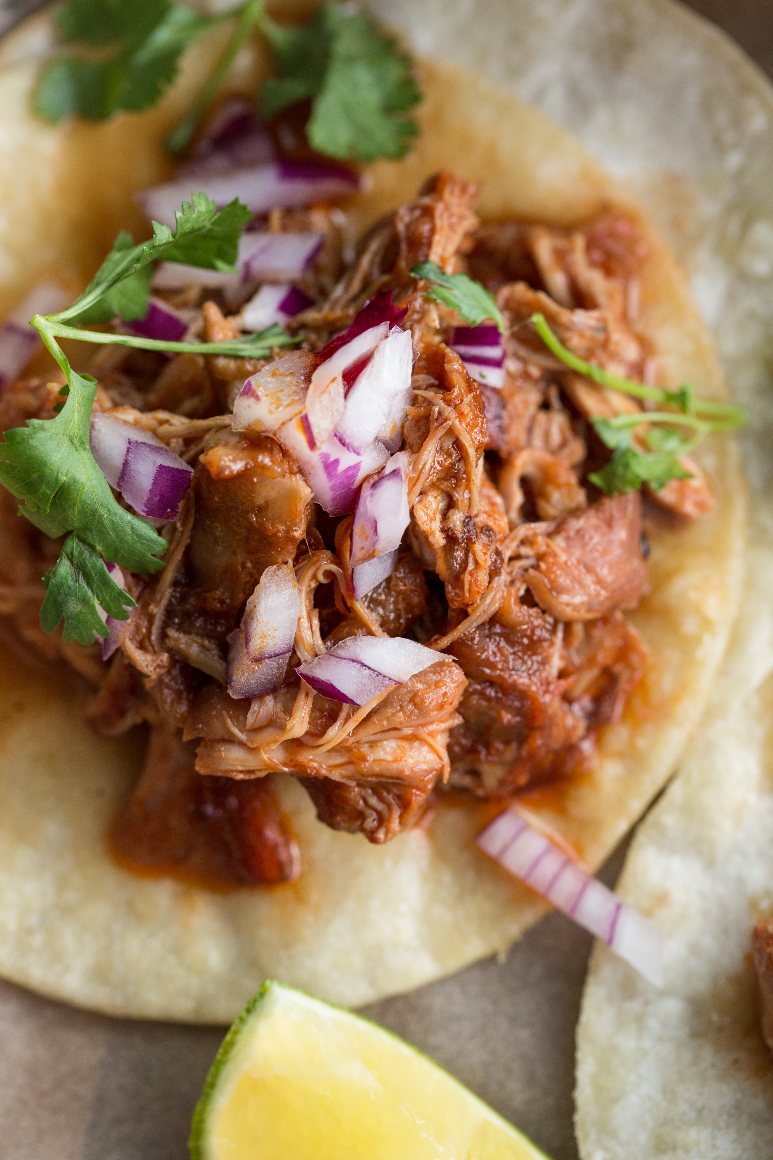 Crock Pot/Slow Cooker Authentic Street Tacos — Rustic. Joyful. Food.