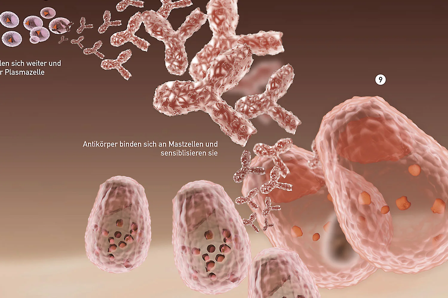Allergieplakat_05.jpg