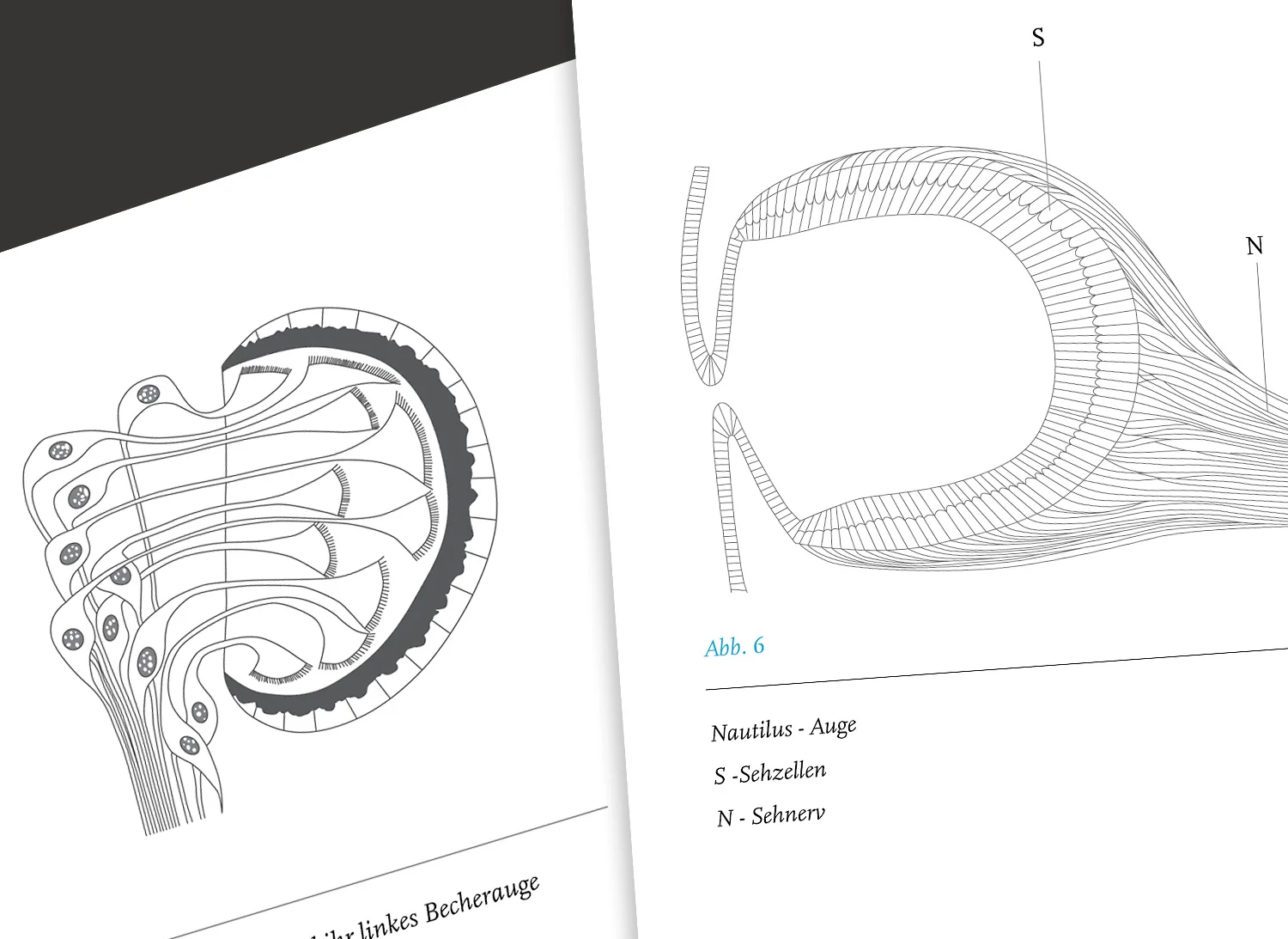 Wissenschaftsbuch_08.jpg