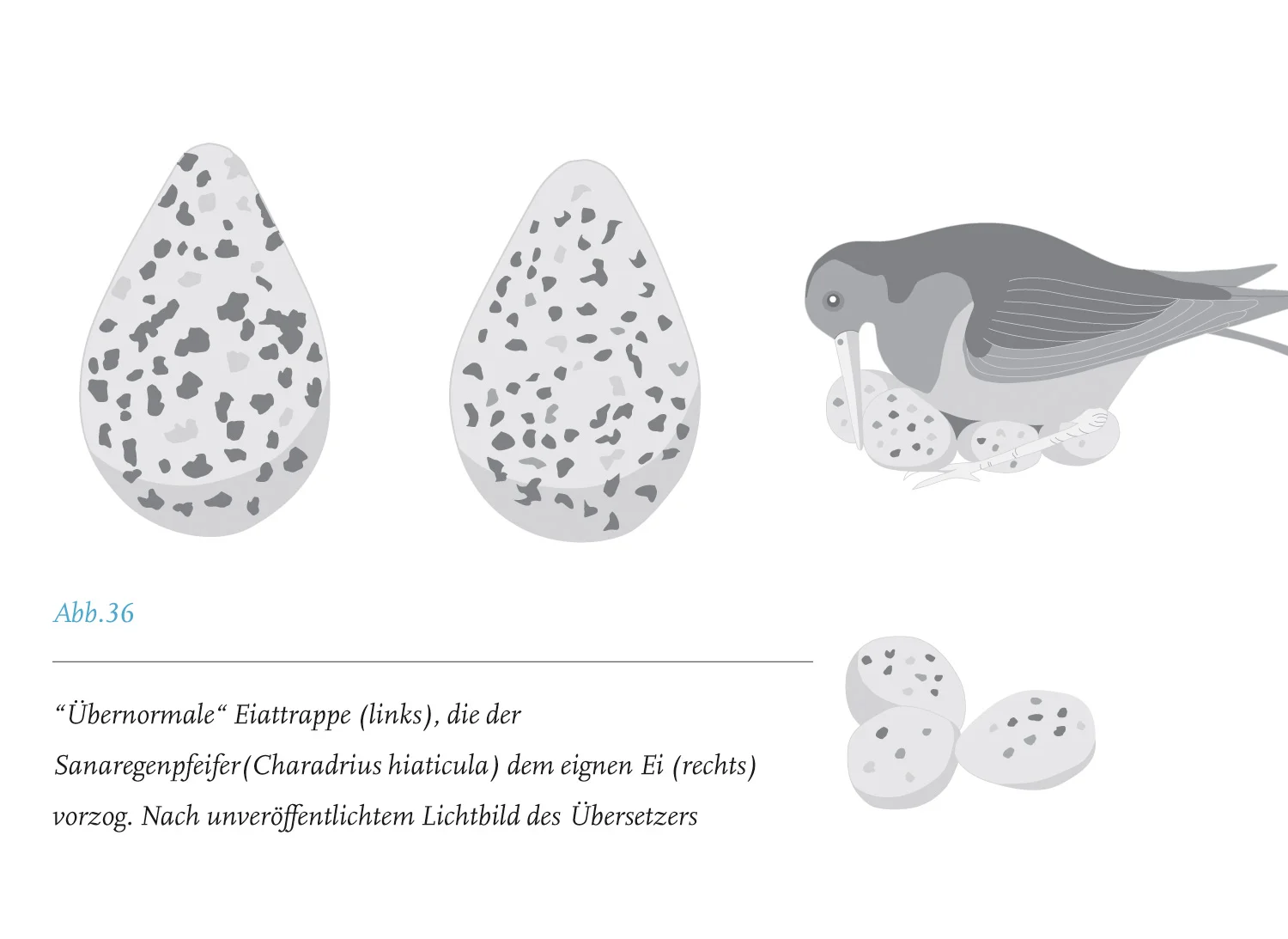 Wissenschaftsbuch_10.jpg