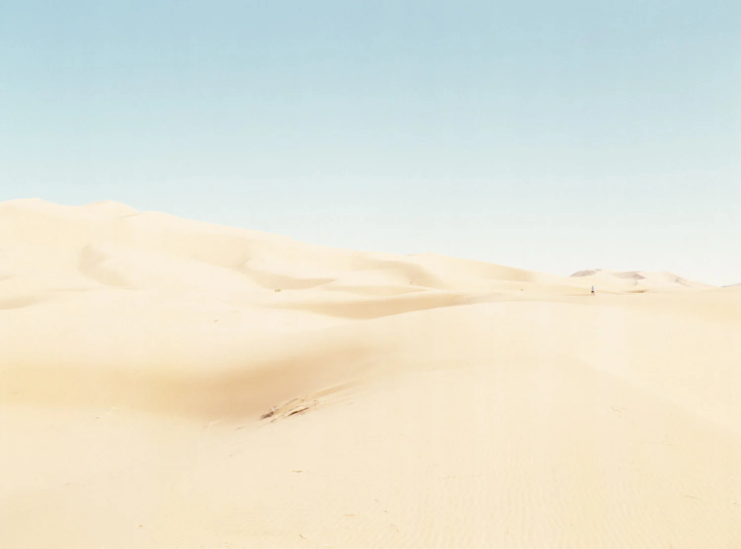 Vmanprasert-Sahara.jpg