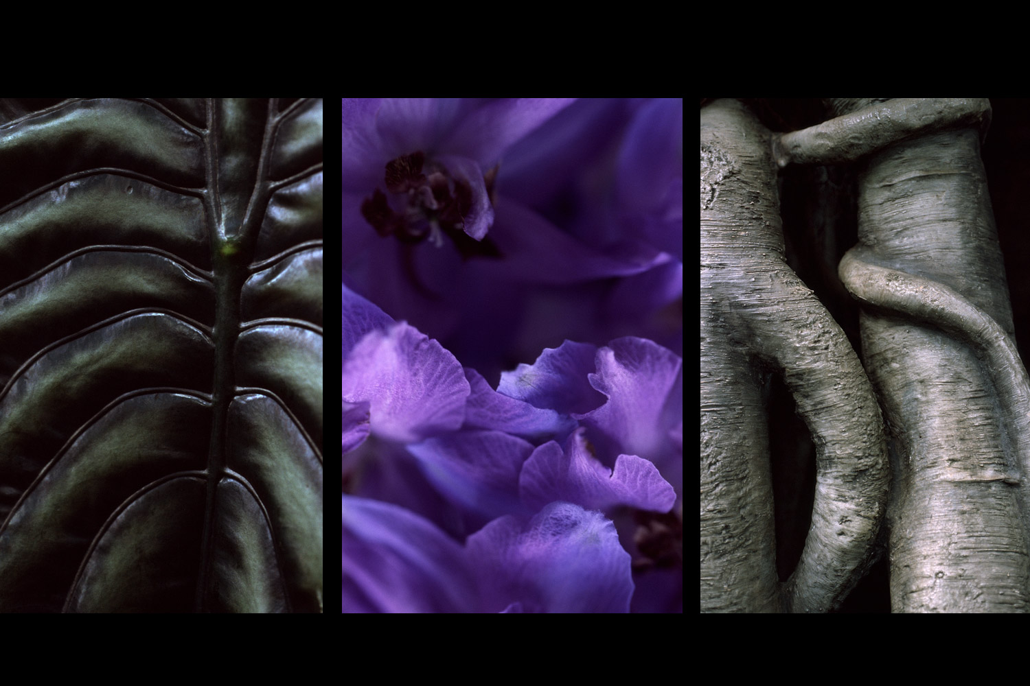 Vmanprasert-Triptych.jpg