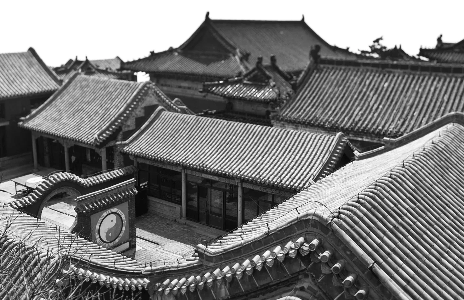 Vmanprasert-TaiAnRoof.jpg