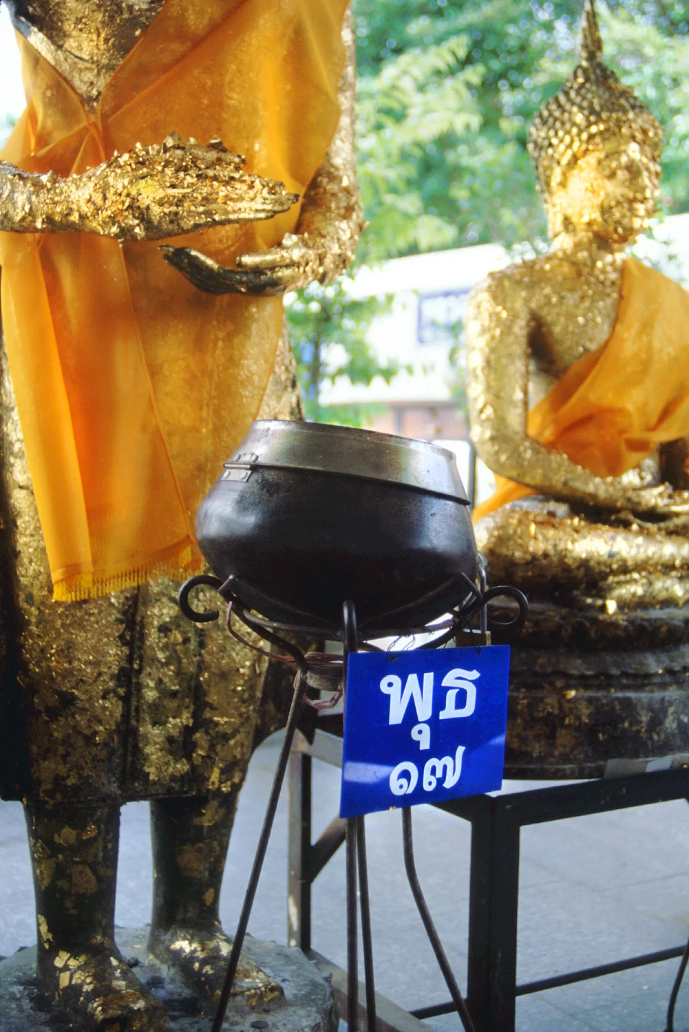 Vmanprasert-WedBuddha.jpg