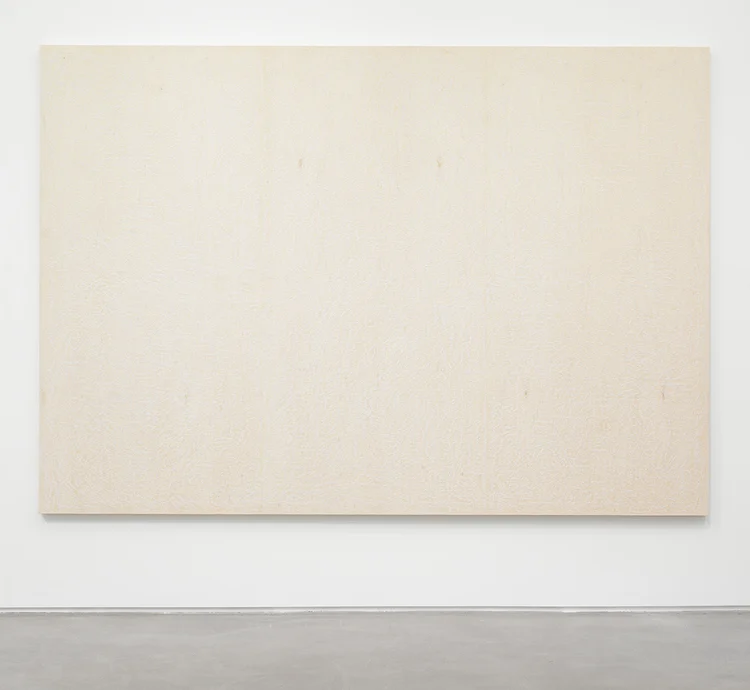 Brendan Lynch Da Bull 2013 Surf wax on wood panel 84 x 120 inches
