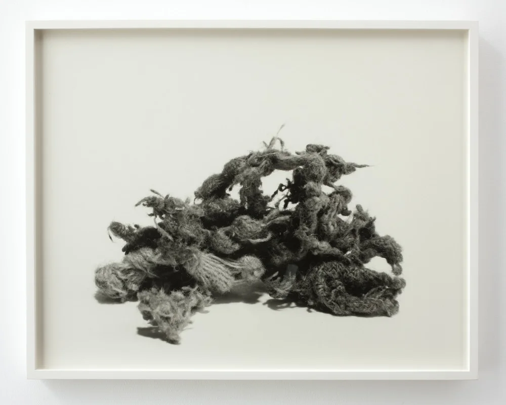 N. Dash Untitled 2012 Silver gelatin print 15 3/4 x 19 1/2 inches
