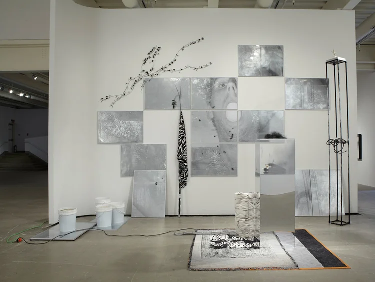 Scene Take Six 2012 PVC pipe, metal frames, ceramic pepper, PVC tube, christmas ball, wire, acrylic, paper, conditioner, shampoo, foam, glass, plast 216 x 192 x 108 inches