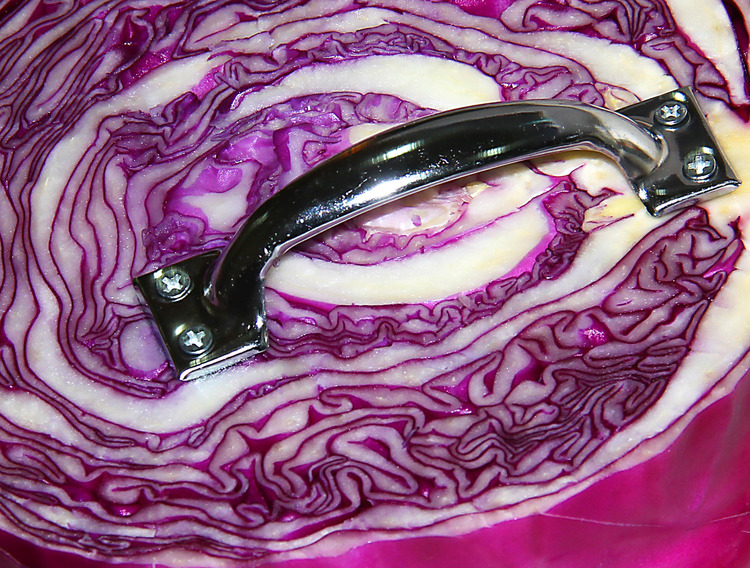 Purple Cabbage with Handle (supportive of a wide array of opinions) Unique 1/1 2012 Purple cabbage with handle