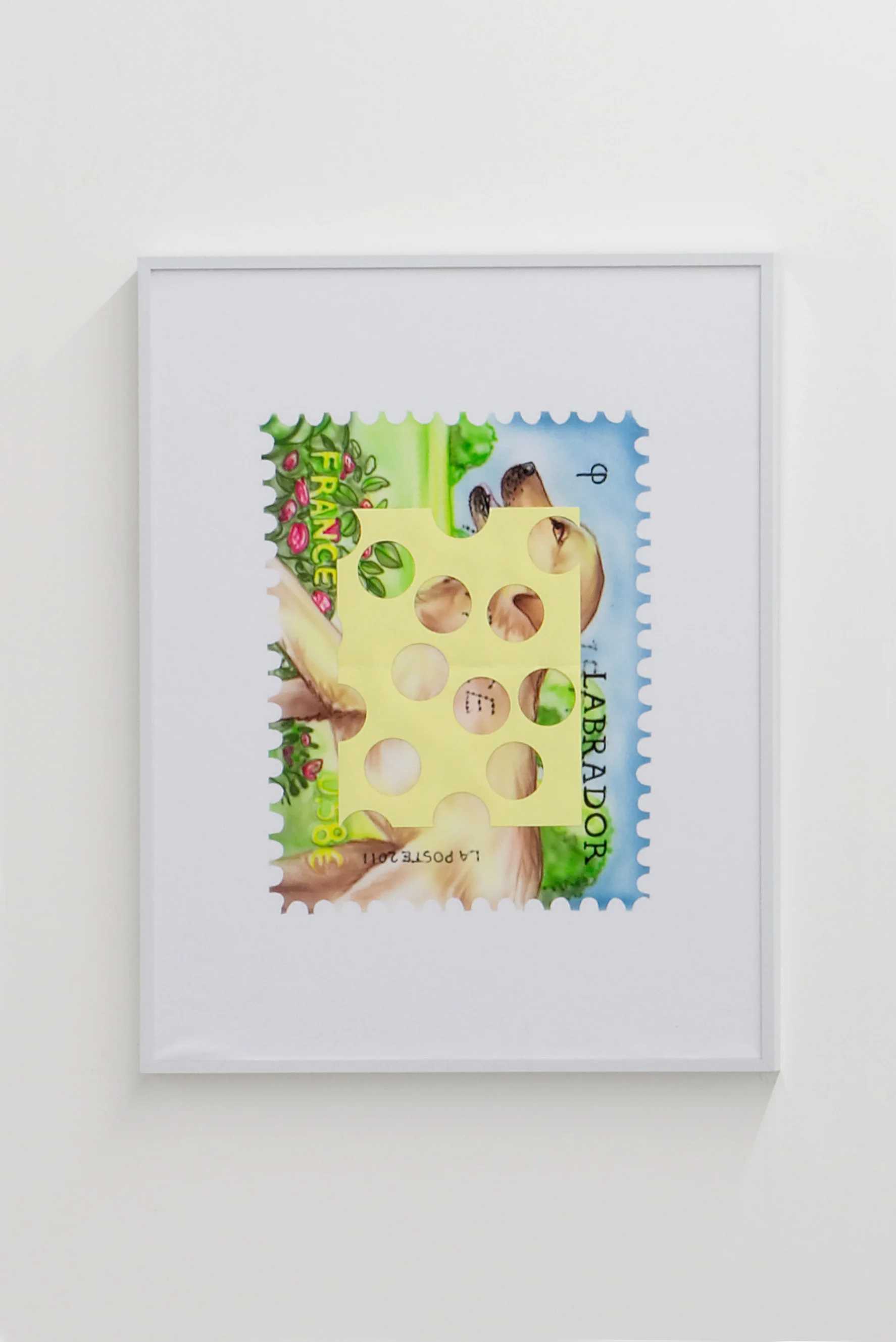 French Labrador Stamp / Spanish LSD Packaging
