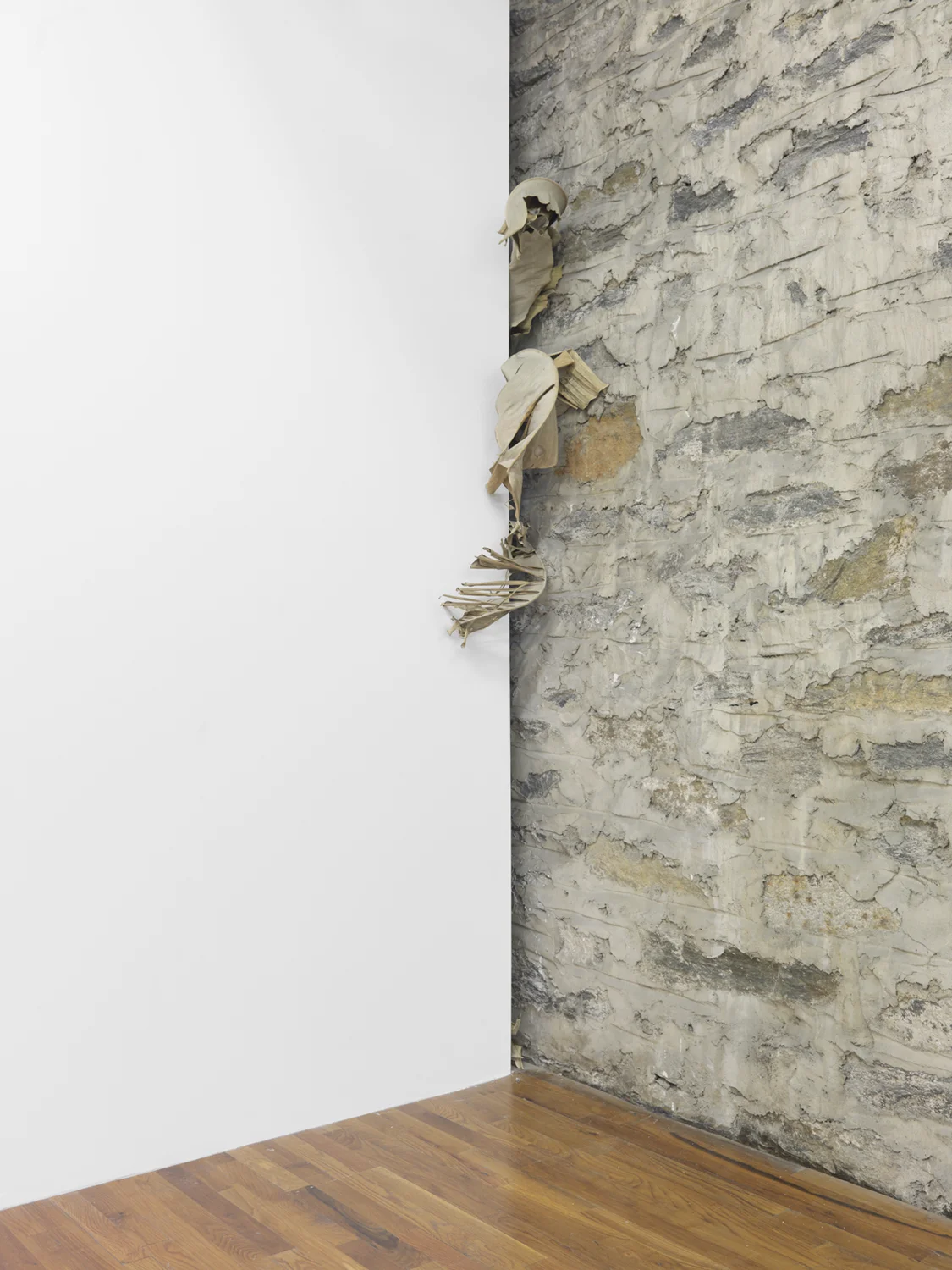 Every One Drops and Falls 2014 Miami banana leaves Dimensions variable