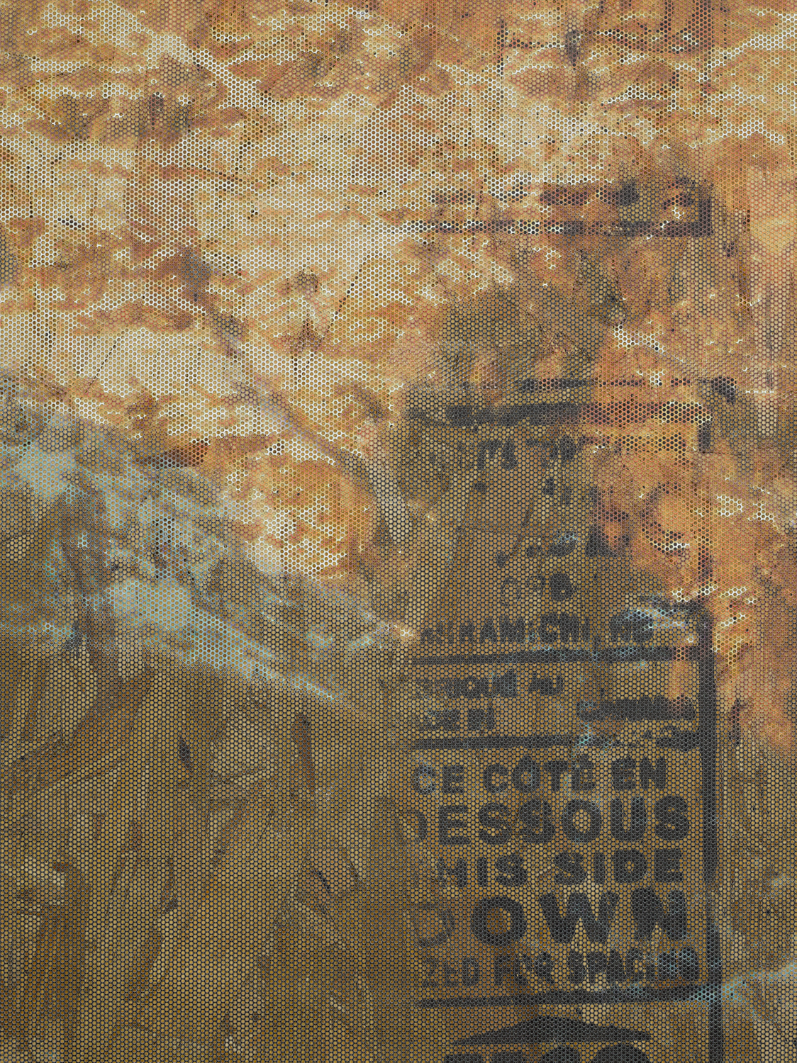 This is Patagucci (detail) 2014 OSB, ink jet printed on perforated vinyl, matte medium 72 x 48 inches 