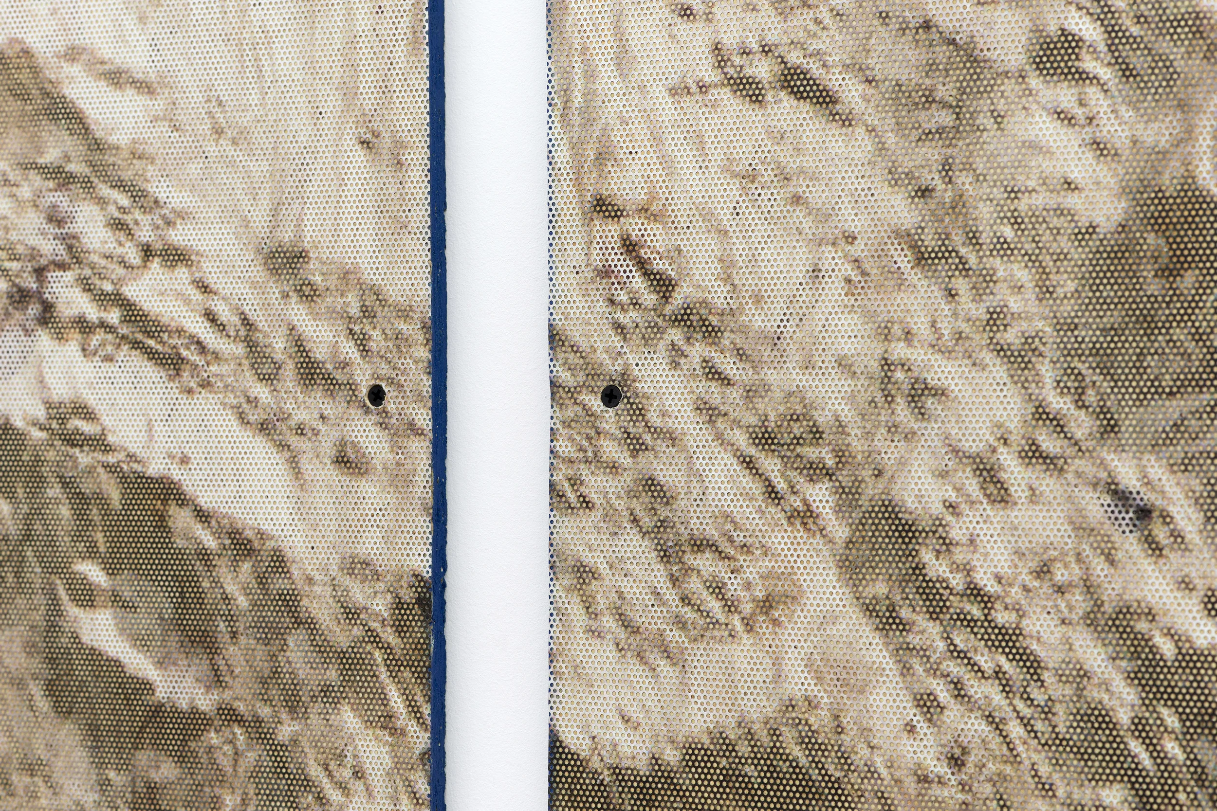 The Law of Reversed Effort (detail) 2014 Inkjet on perforated vinyl adhered to OSB, matter medium 96 x 149 inches