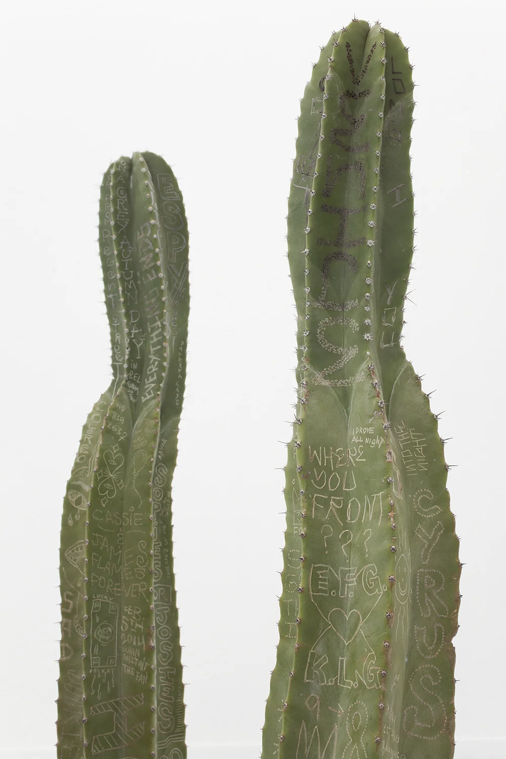 Jack Greer Was Here/Sad Punk/Mar Vista (Detail) , 2014 Cactus Dimension variable