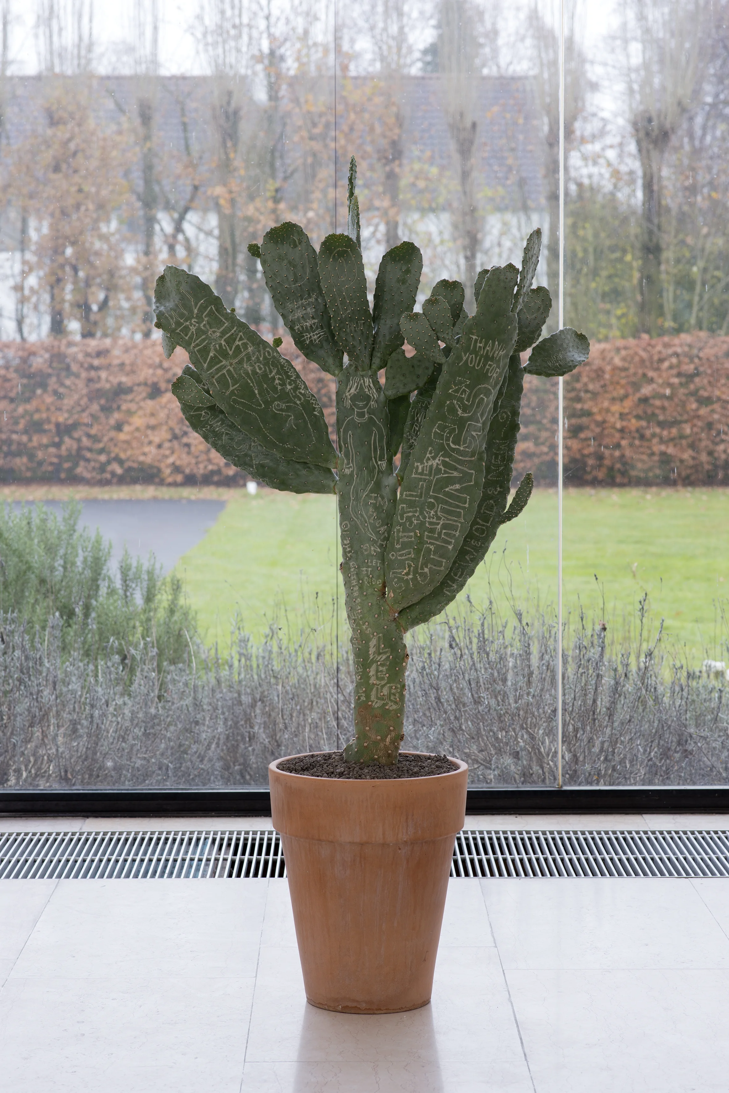 Jack Greer 8 Months Later , 2014 Cactus Dimension variable