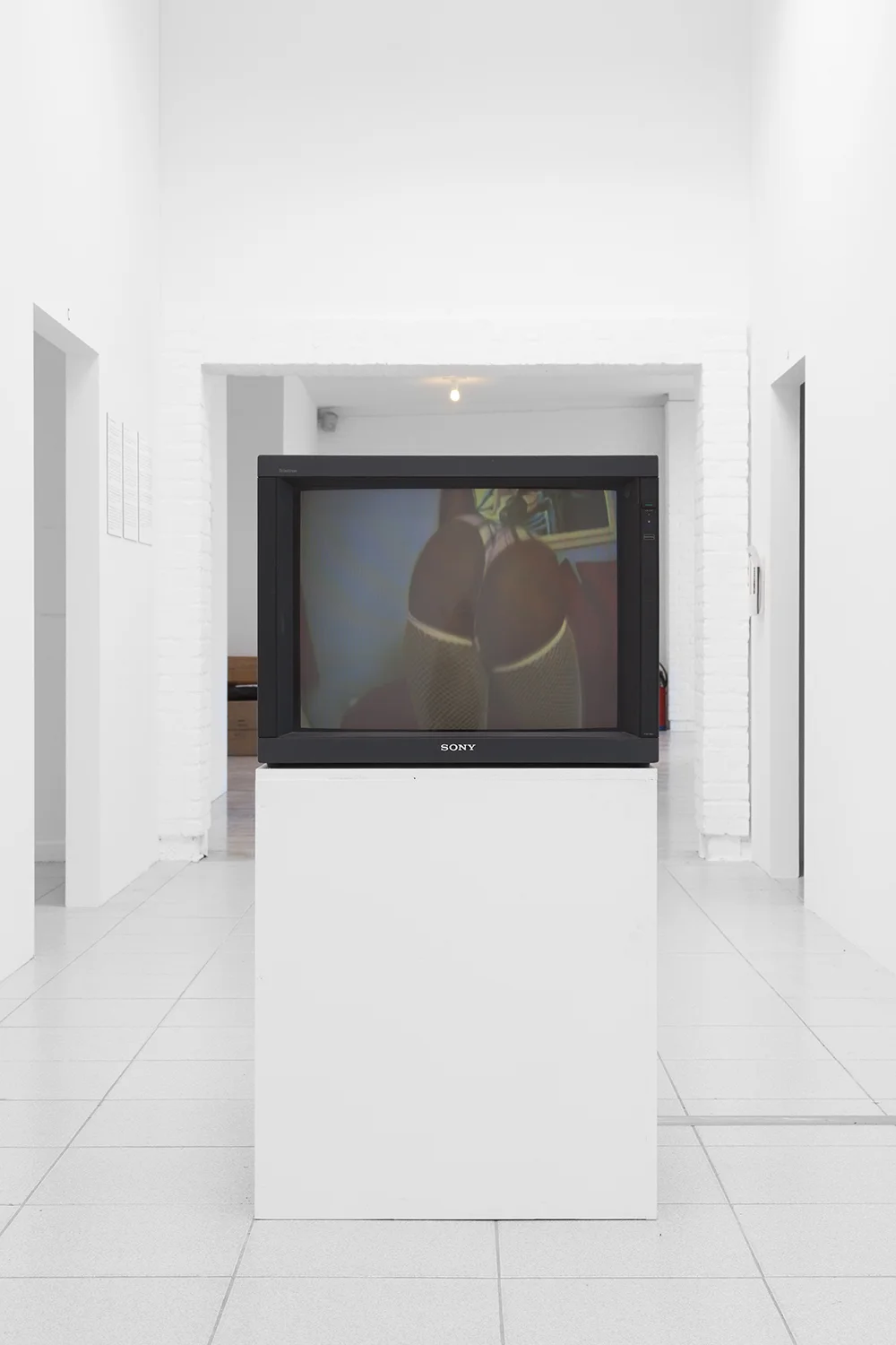 Phoebe Collings-James Primates , 2011 Digital video Dimensions variable