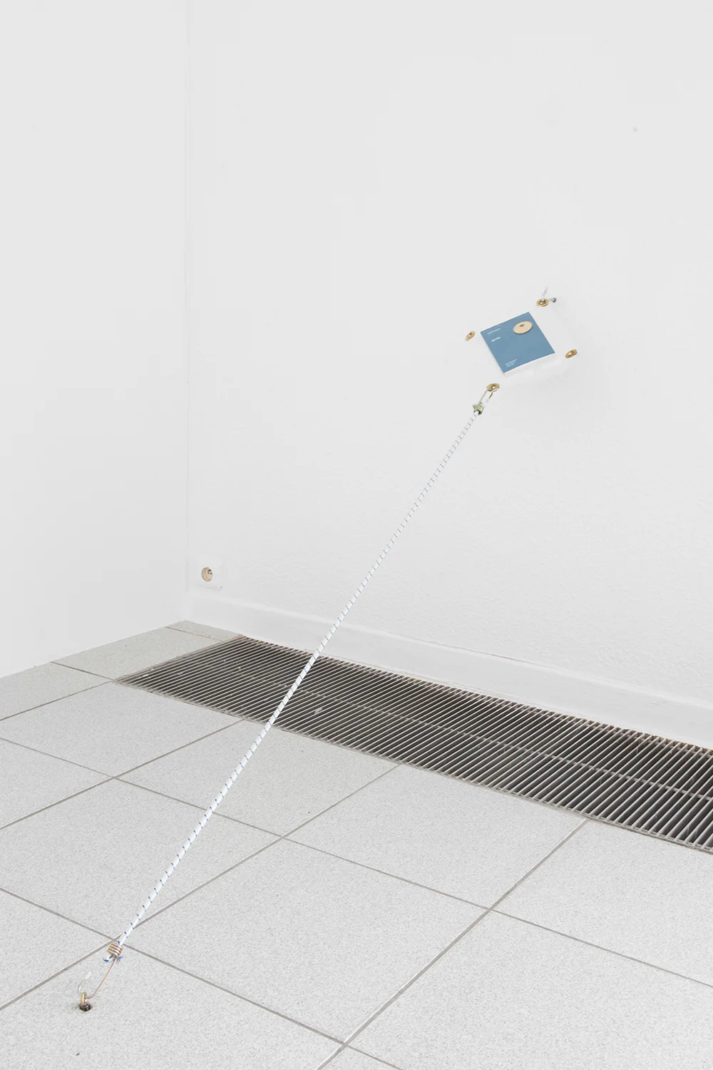 Brad Troemel TBT Vacuum Seal 3 , 2015 Vacuum-sealed plastic and bungee cord Dimension variable