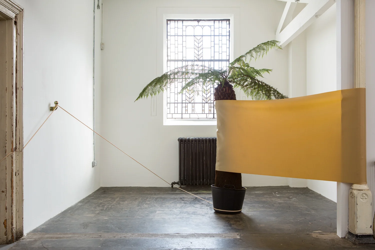 Zachary Susskind Monument , 2015 Gum, architectural column, potted tree fern Dimensions variable
