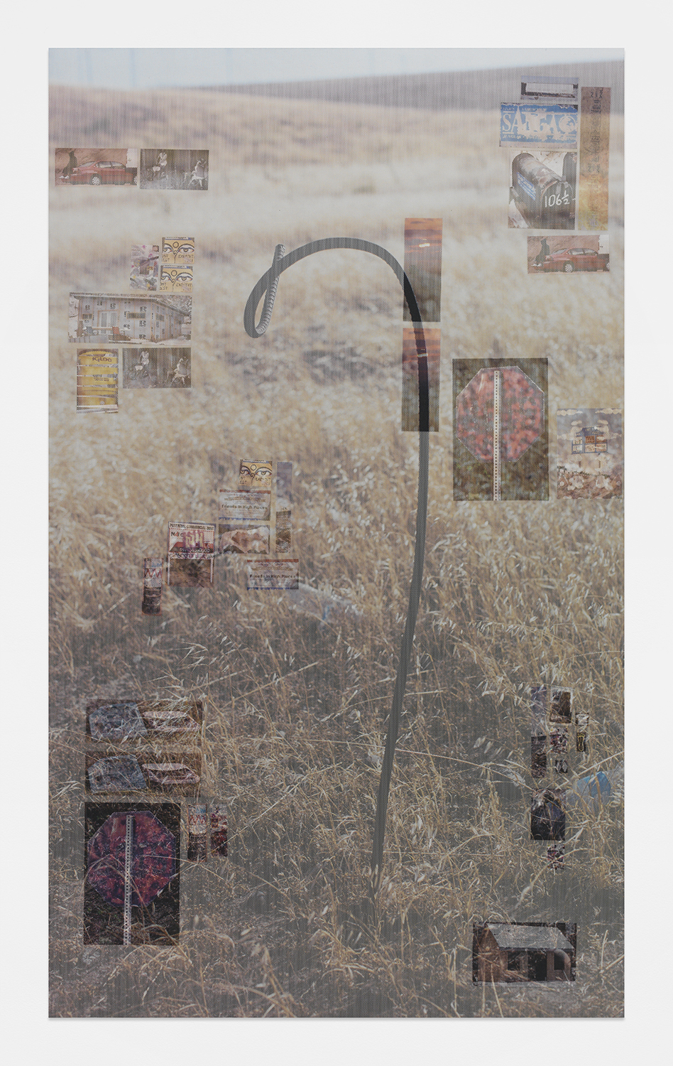 Areas of Expertise , 2015 Sintra, aluminum, decals, perforated decals and matte medium 75 x 45 inches 