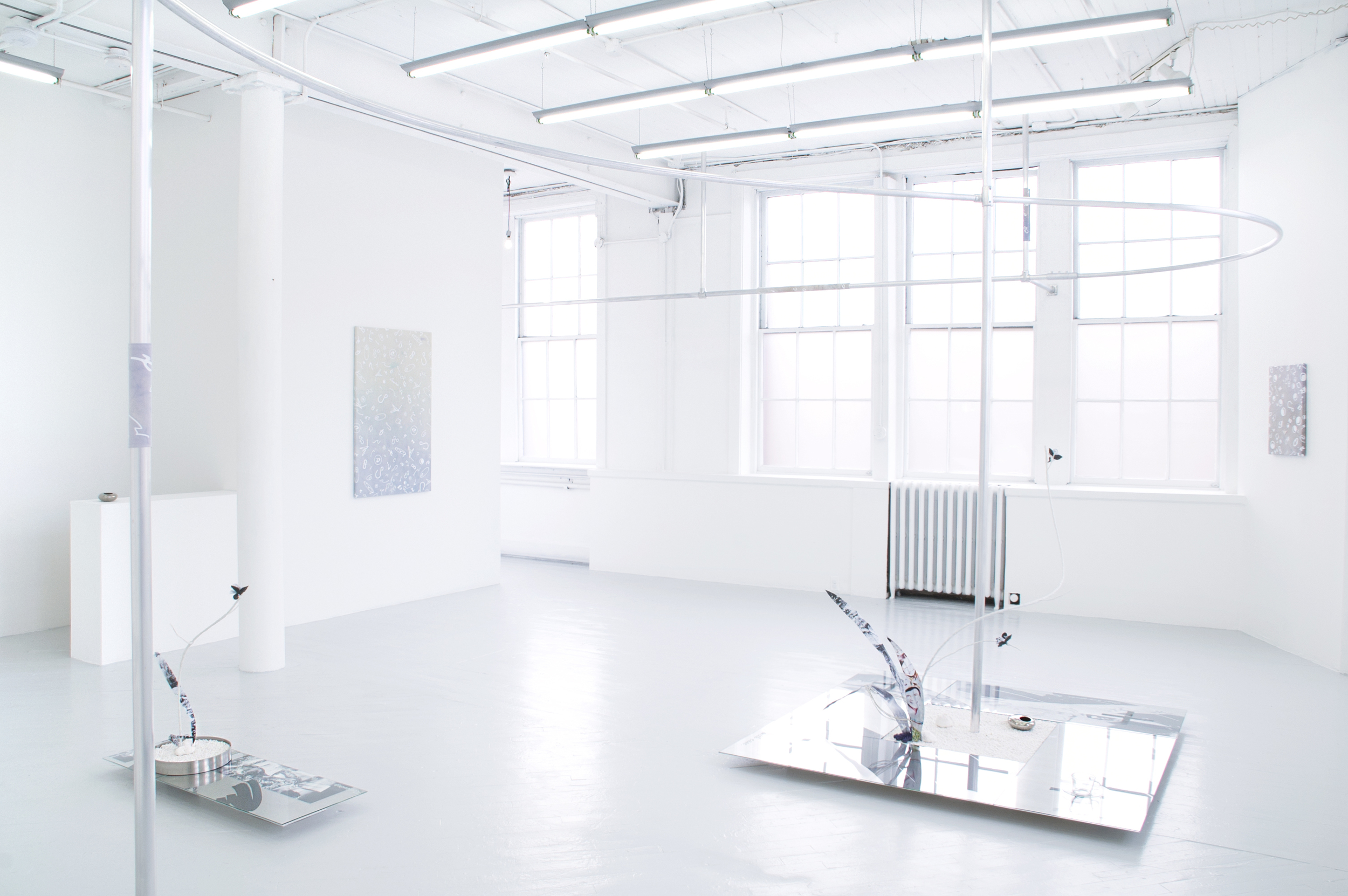 Installation view of  Jardin N°19  with Erika Ceruzzi at Springsteen Gallery, Baltimore 