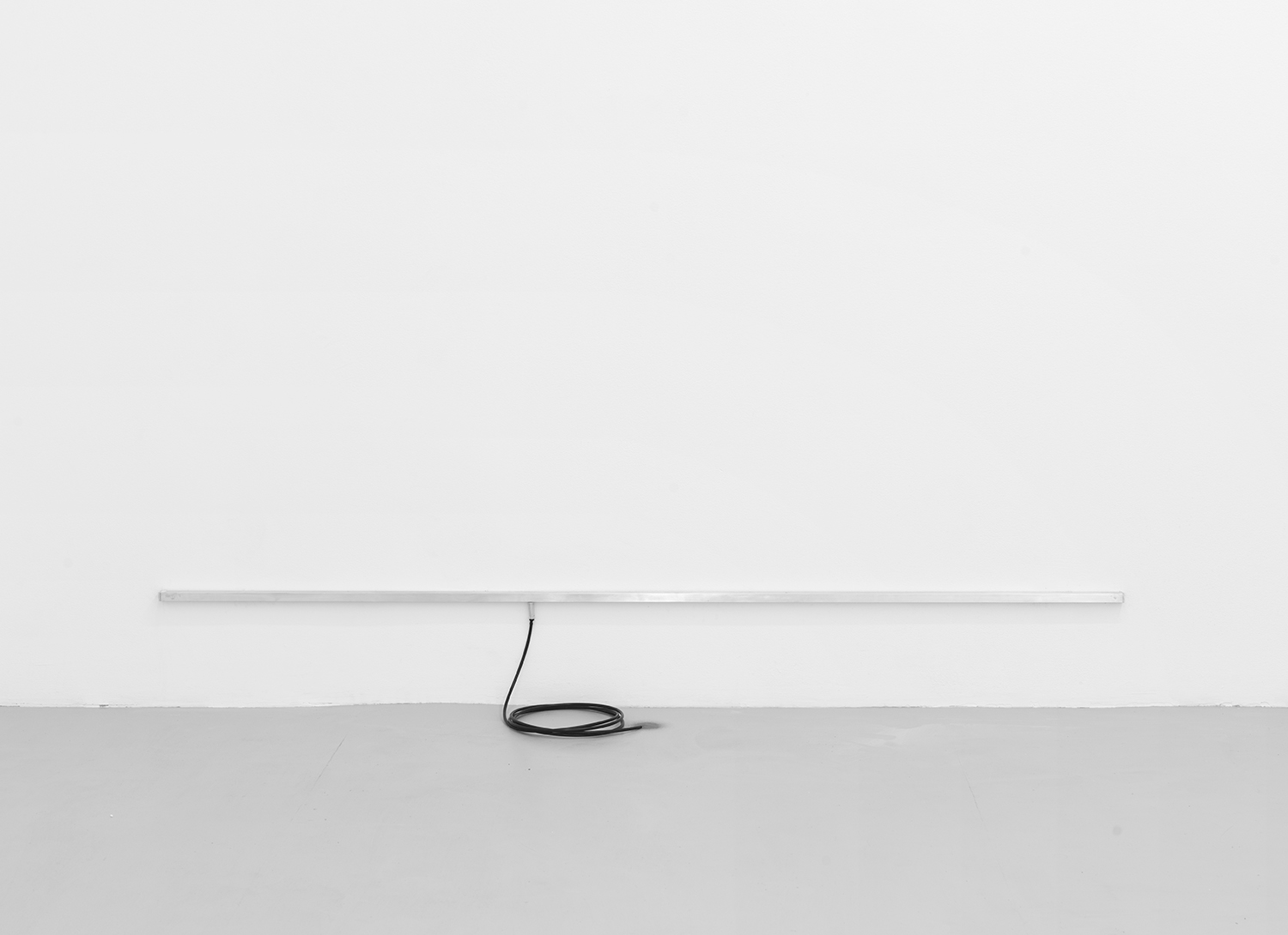 Feast (detail), 2015 Aluminum, plastic and iron powder Dimensions variable 