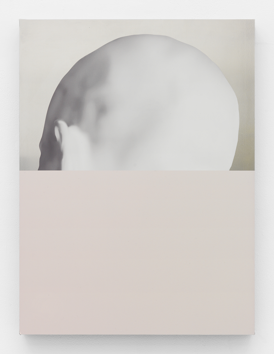 Pretty , 2015 UV curable ink and metal etch on aluminum panel 24 x 18 inches