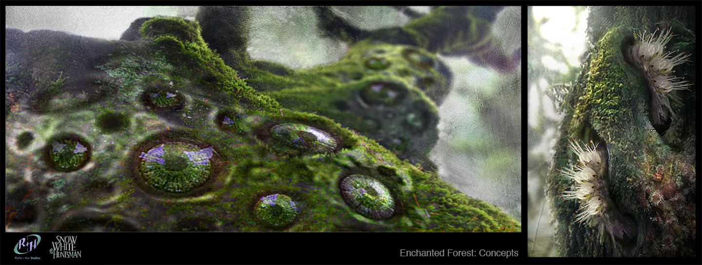 SWATH_Forest_Flowers.jpg