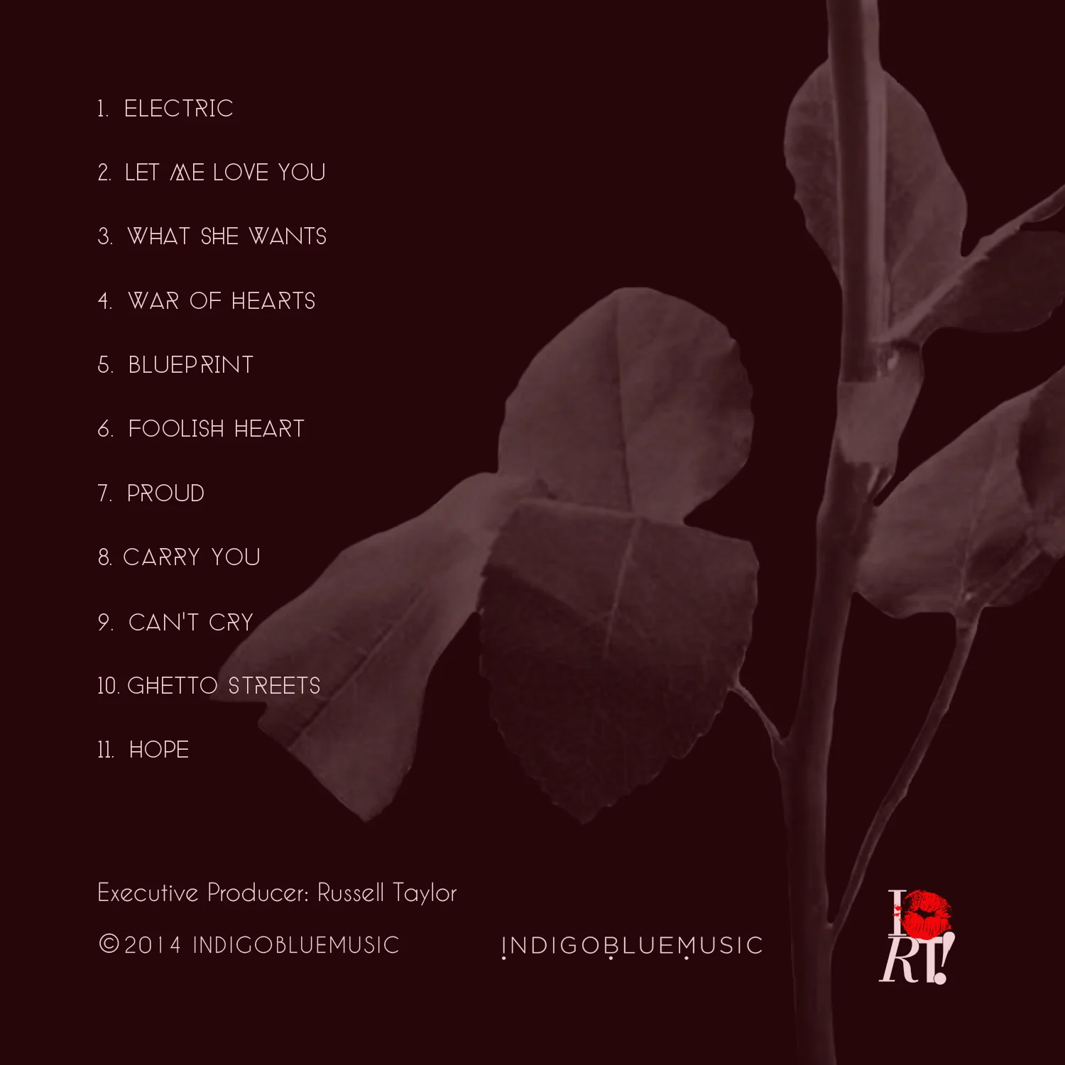 back cover final.jpg