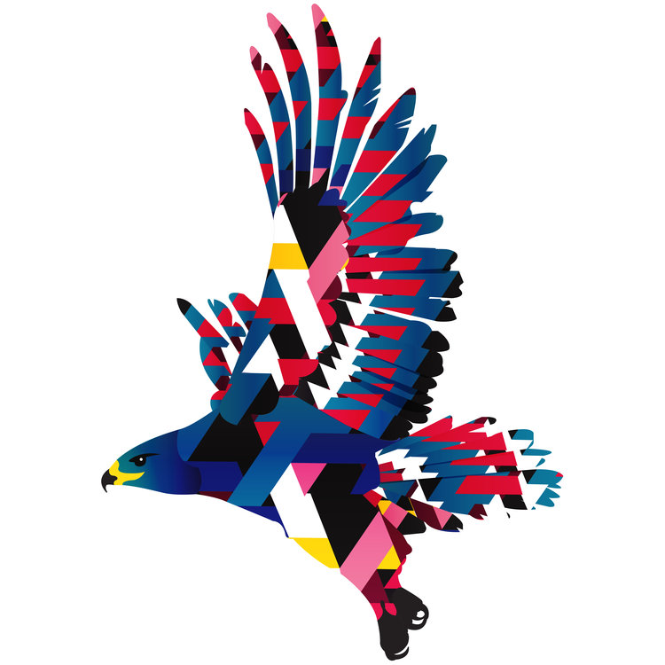 S.+Hawk+final+logo+(no+text).jpg