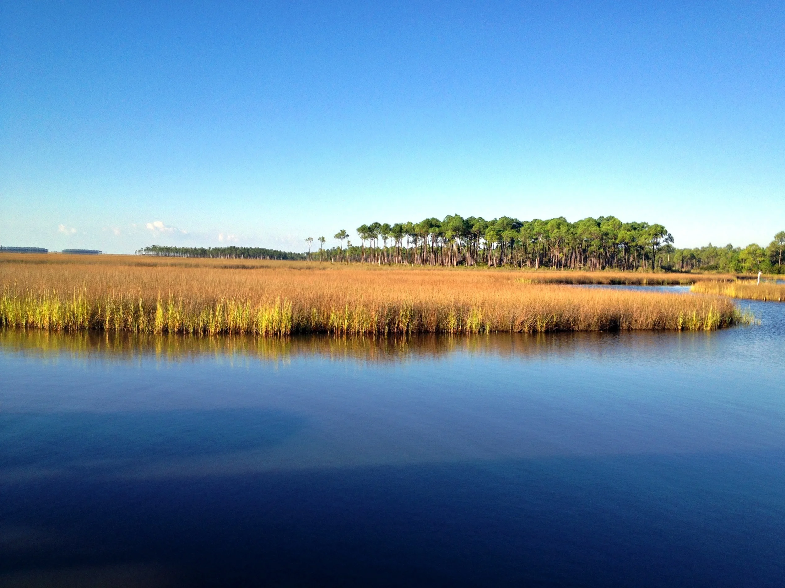 2013-09-28 08.17.44.jpg
