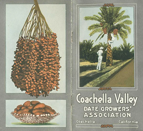 Pamphlet distributed at the Panama Pacific International Exposition (World's Fair) in San Francisco, 1915 | Courtesy of the California History Room, California State Library, Sacramento, California