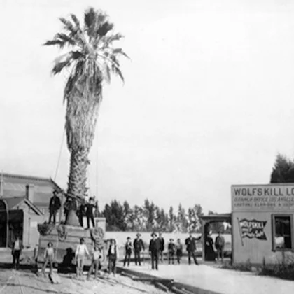 'Even Our Palm Trees Are Cooler'