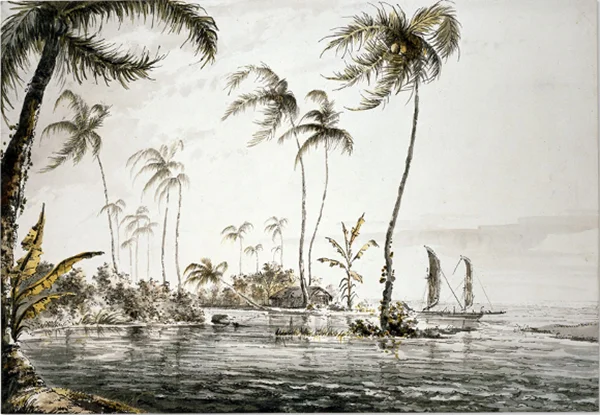 View of Island of Otaheite (Tahiti), William Hodges, Grey wash and watercolor, 368 x 539mm, 1773 | Courtesy of Trustees of the British Museum | Back Inscription : "A View in the Island of Otaheite from the Land looking towards the Reef & Sea, and which has much the appearance of the Low coral Reef Islands, the Plants a(re) Coco Nut Tree. & Plantain which are indigenous Drawn from Nature by W Hodges in Year 1773"