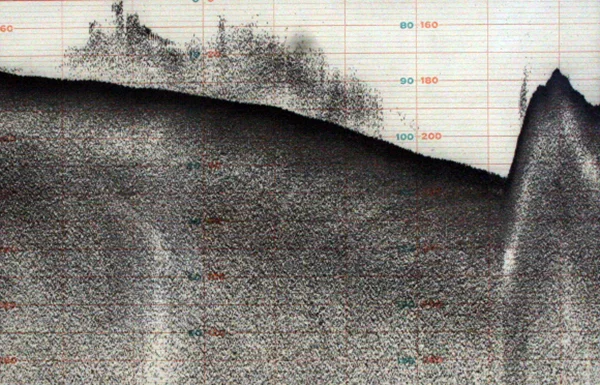 "Undersea sonar recordings," Tom McMillin, sonar recordings, 8.5 x 5.5 inches, circa 1980. | Photo: Hillary Mushkin