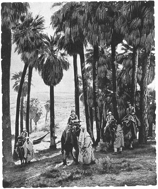 Guests at California's Biskra who arrived on Camelback