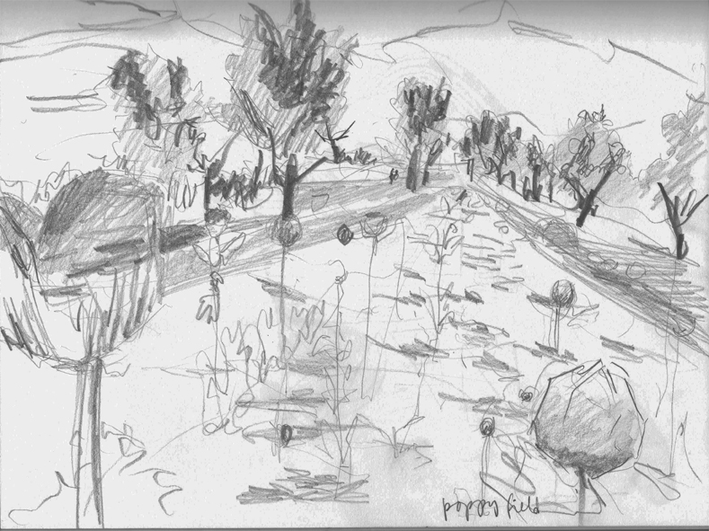 DICE-T Poppy Fields | Drawing by Eva Struble