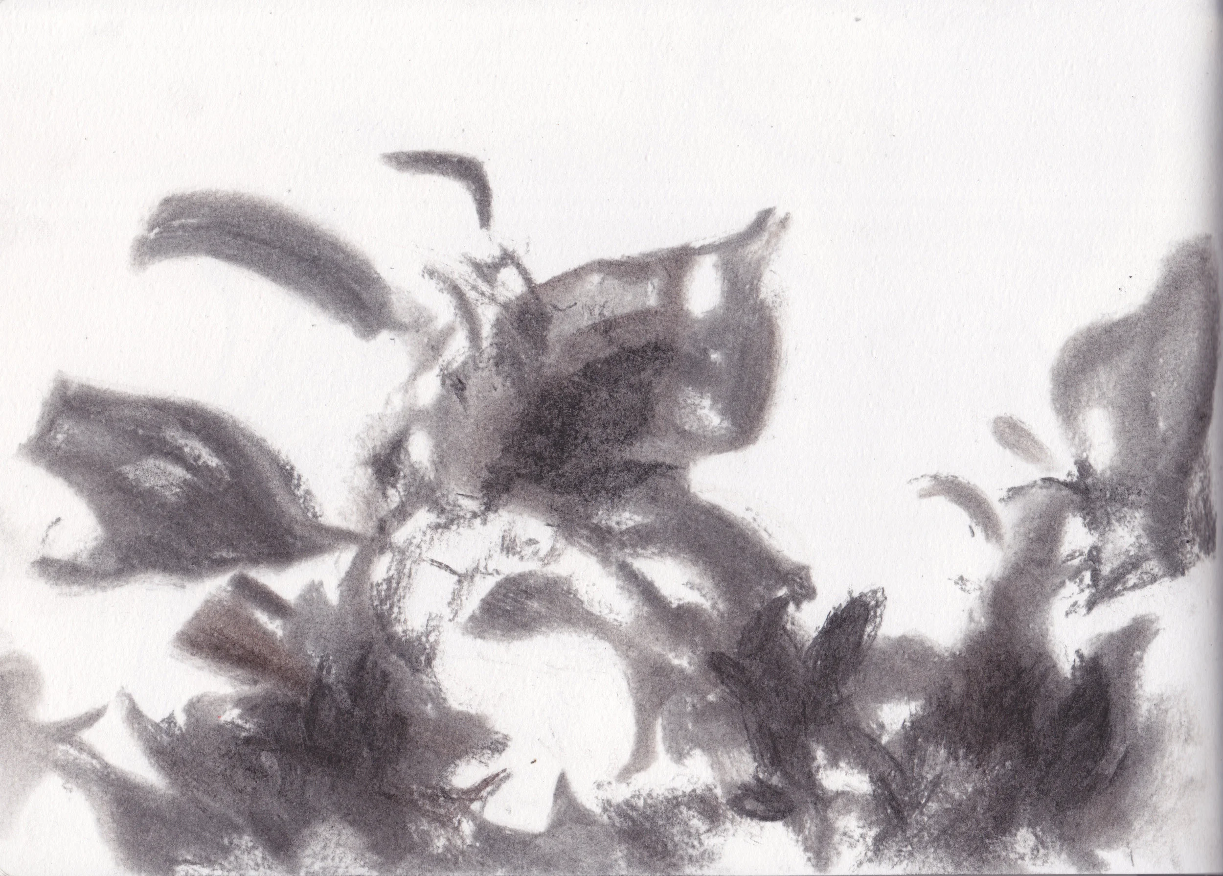 Stacie Jaye Meyer | Environmental Capture at Point Mugu, 2016 | Found charcoal on paper