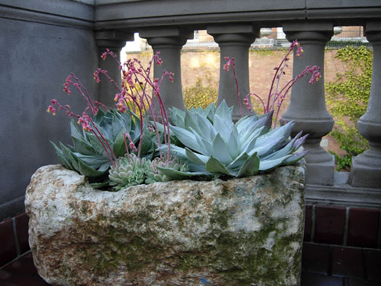 showhouse_2007_016_fs.jpg