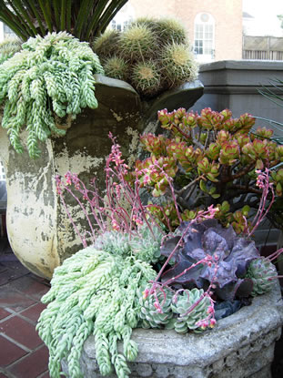 showhouse_2007_032_fs.jpg