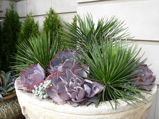 showhouse_2007_035_fs.jpg