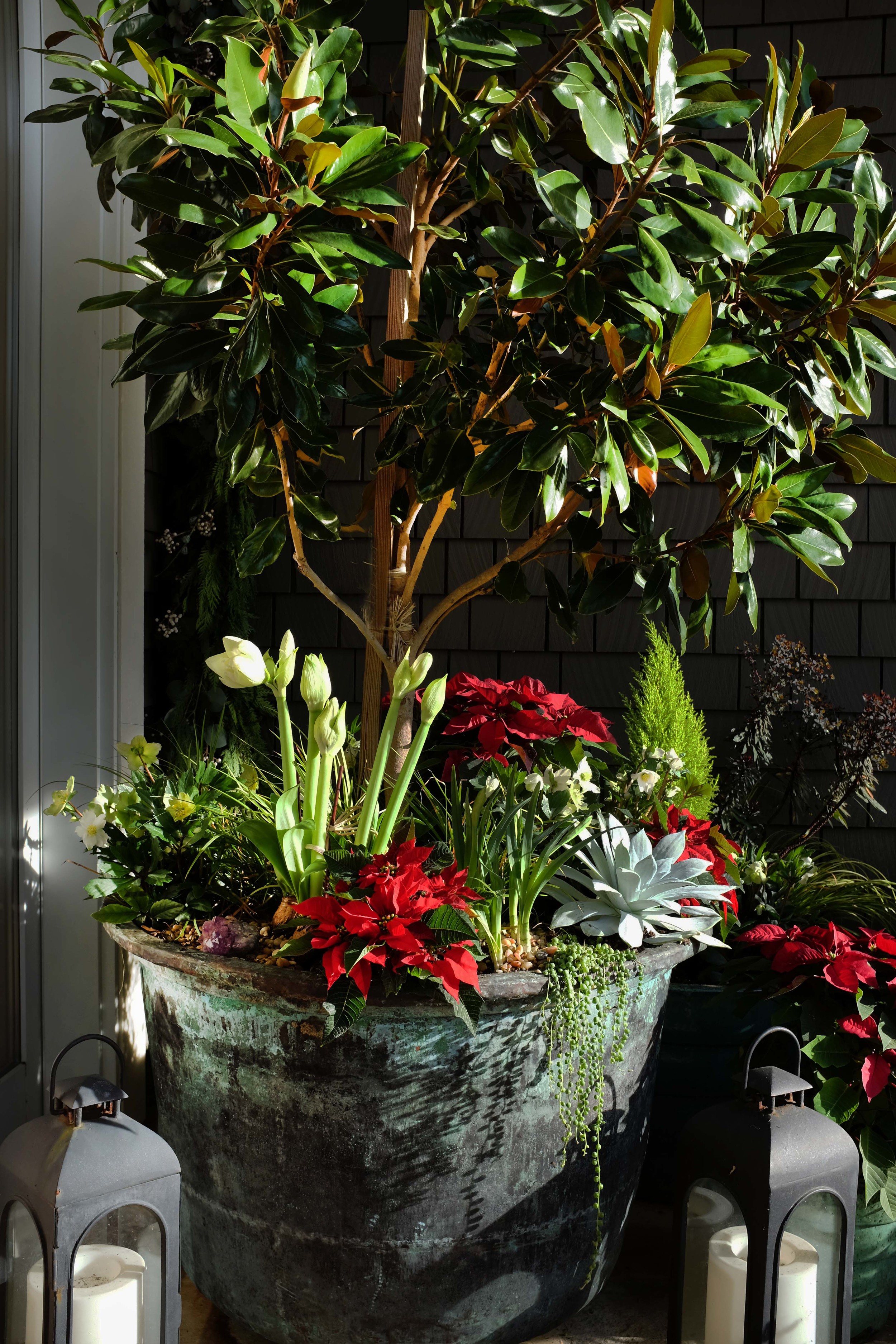 Holiday Entry Arrangement by designers Brandon Pruett and Lindsey Graves
