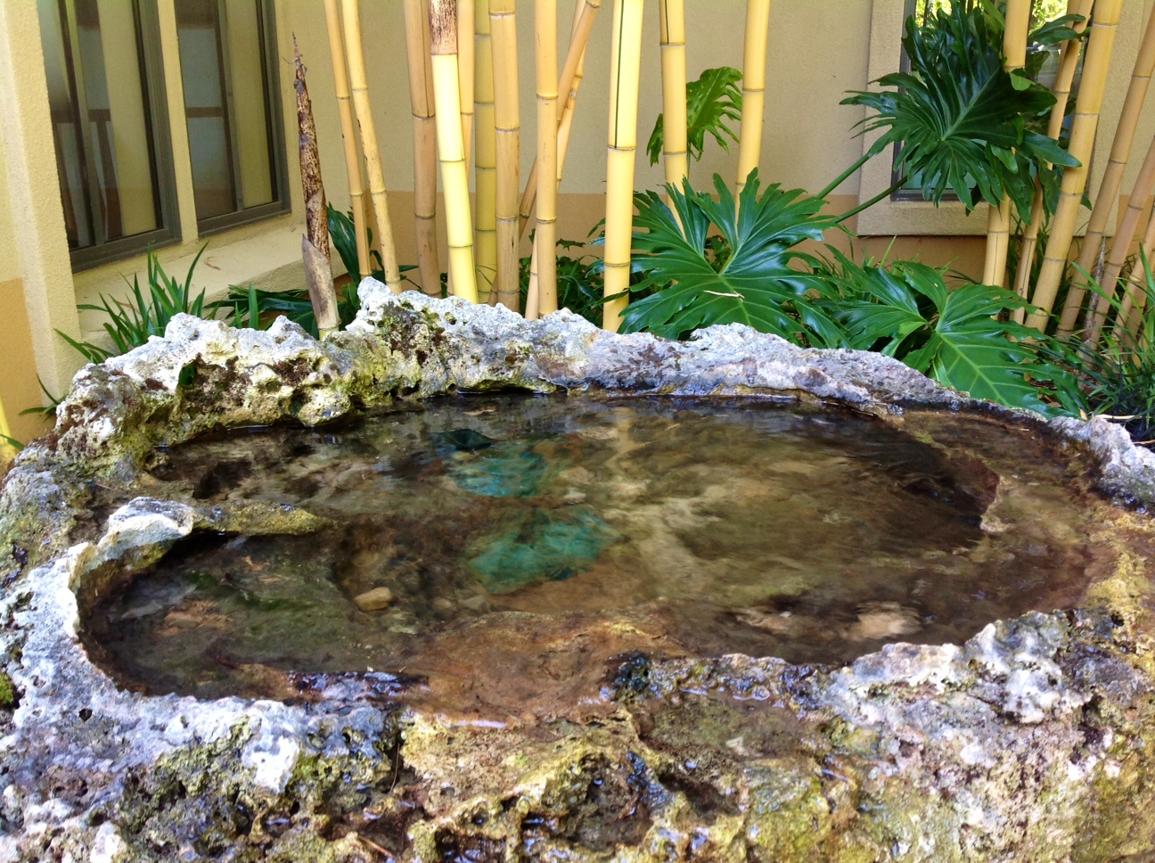 water feature1.jpg