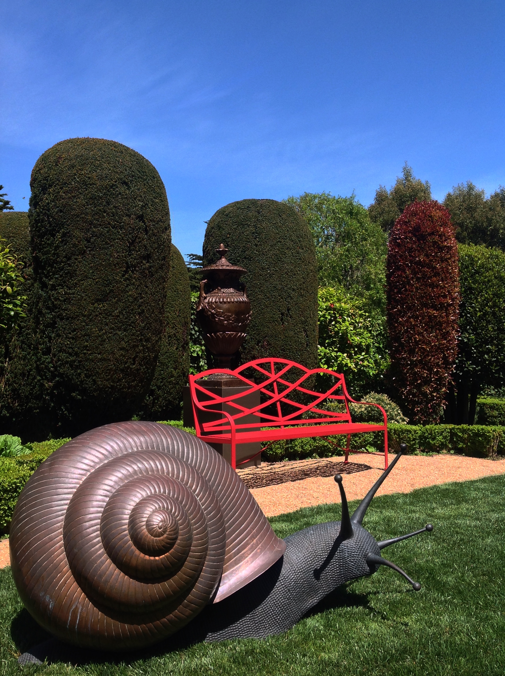 Snail.jpg