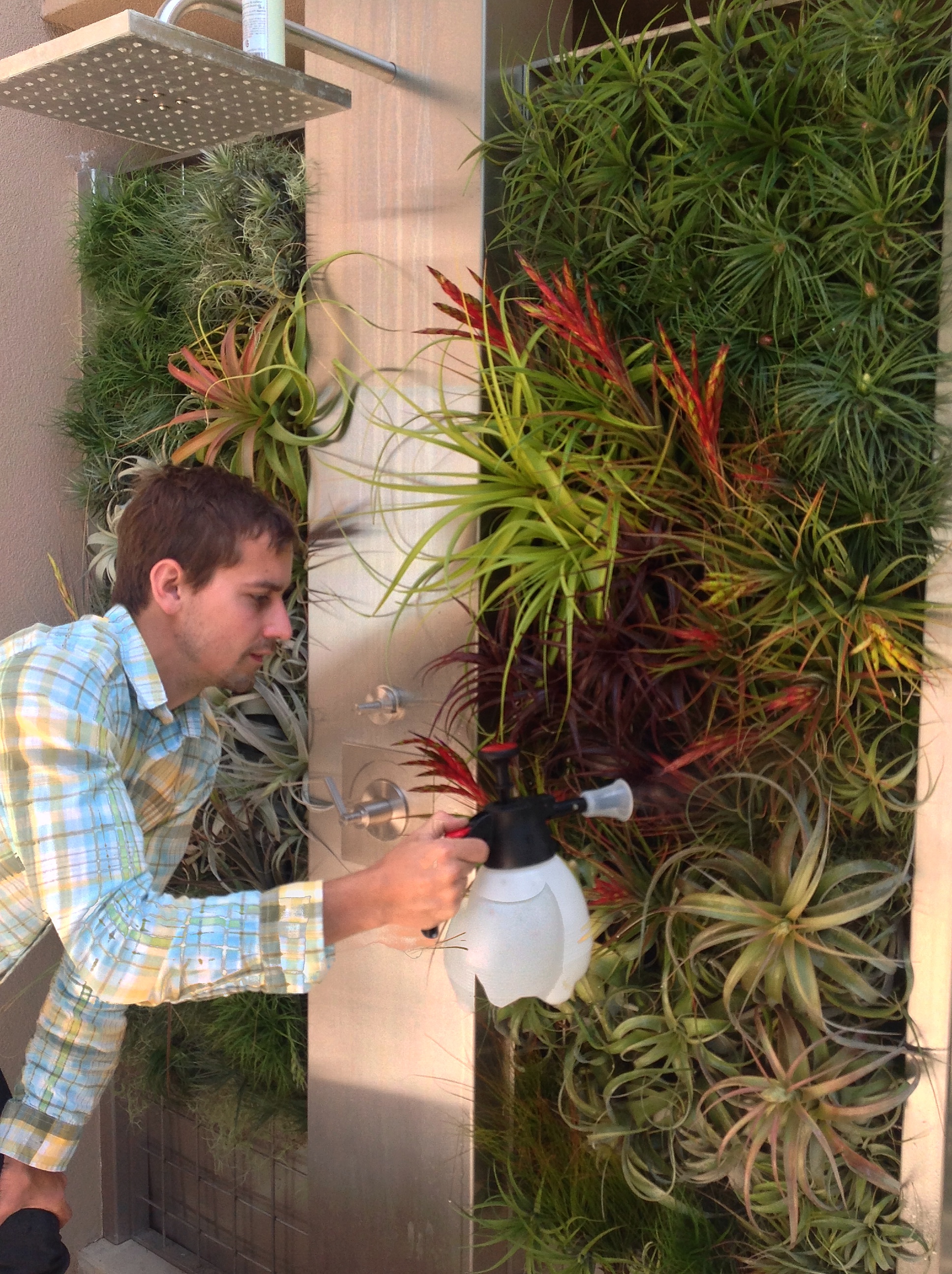 Outdoor Vertical Tillandsia Shower