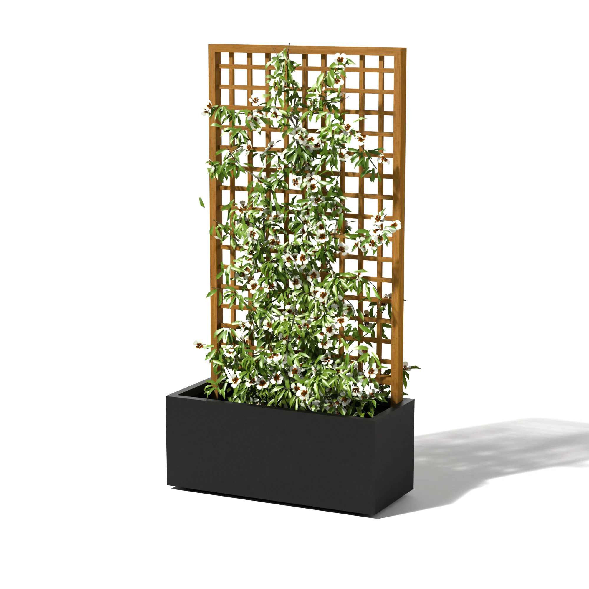 mid-rectangle-trough-black-wooden-lattice.jpg