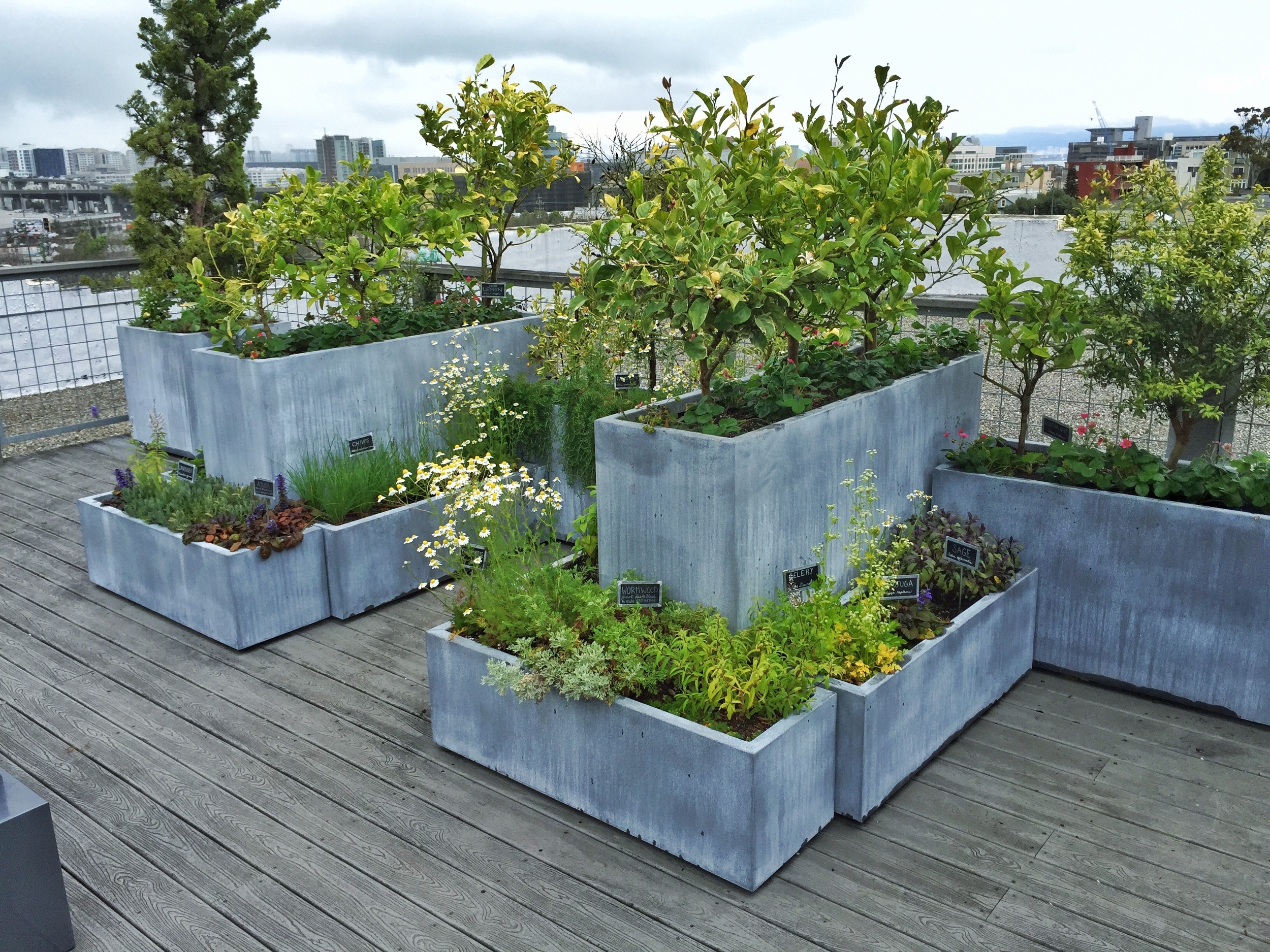 herb beds.jpg