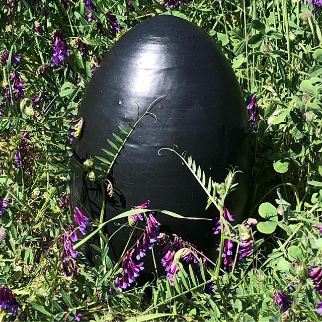 What a glorious day in California. This one - unpublished.zoos.builders - is enjoying the entwining vines of some pea species. This egg is a simple matte black over stoneware. Nothing special, but not much needed to compliment this scenery.

#ojai #h